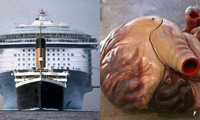 titanic-y-corazon-ballena.jpg