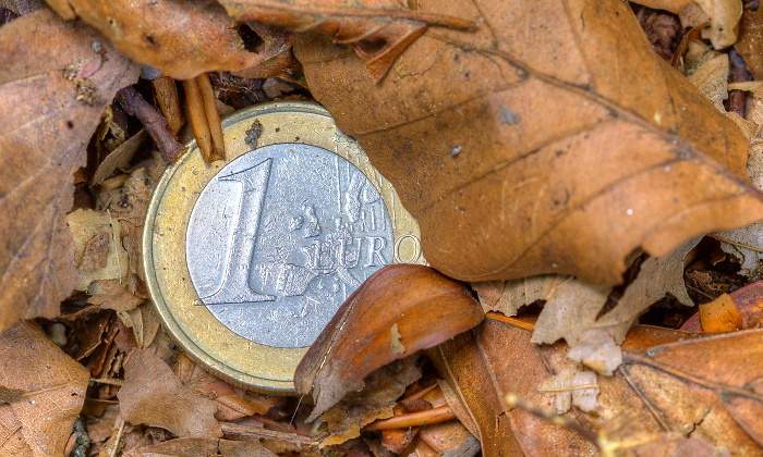 euro-hojas-depreciacion.jpg