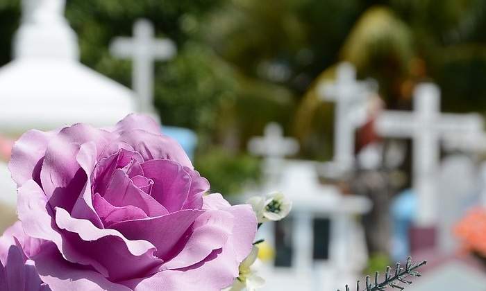Cementerio-Pixabay.jpg