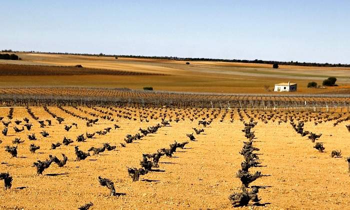 campo-castilla-770-dreamstime.jpg