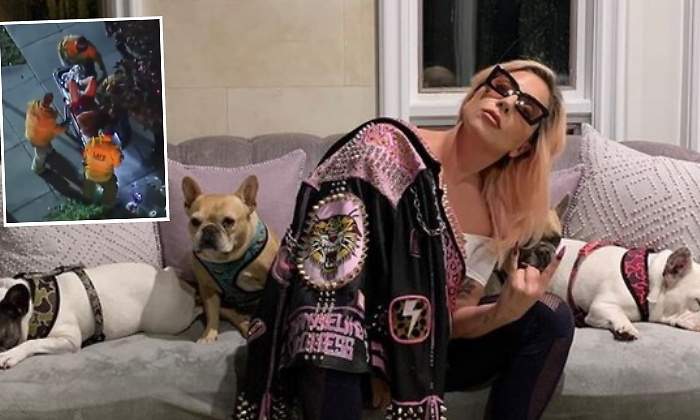 lady-gaga-perro-ok-770.jpg
