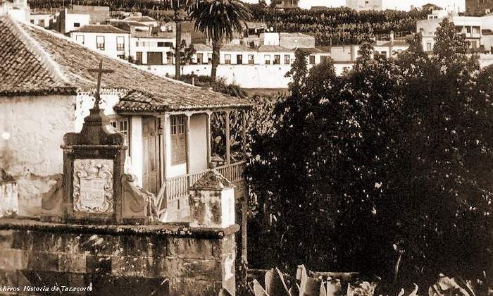 canarias-arbol.jpg