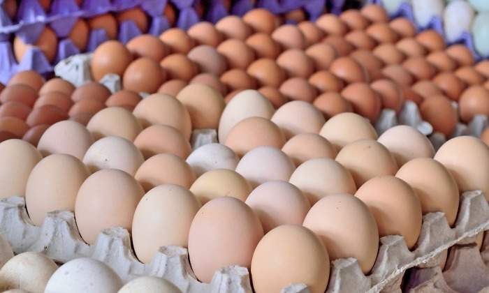 huevos-dreamstime.jpg