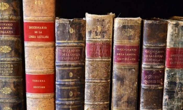 Diccionario de la RAE