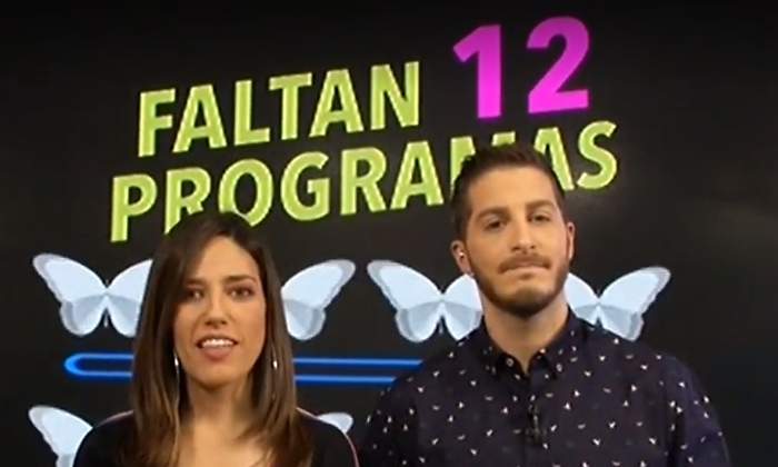 cazamariposas-nuria-marin.jpg