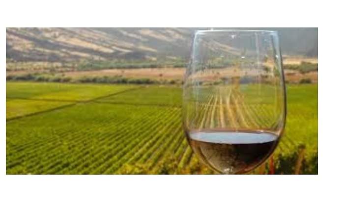 vinos.jpg