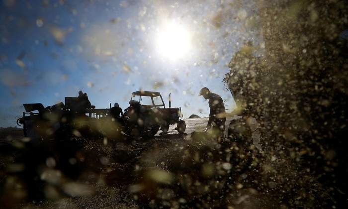 agricultura-trabajador-temporero-reuters.jpg