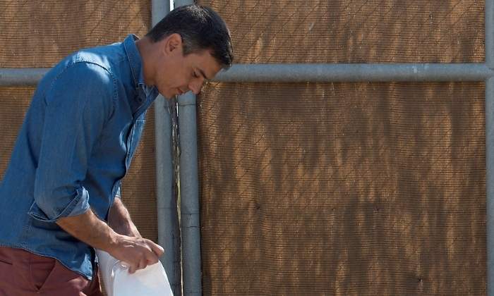 pedro-sanchez-donana-efe.jpg