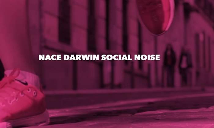 darwin-social-noise