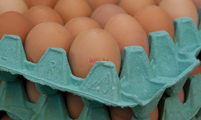 eggs-1887395_1920.jpg