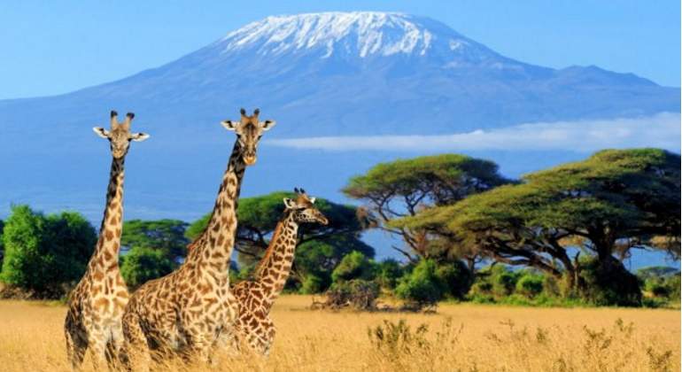 Tanzania, uno de los destinos preferidos por sus clientes