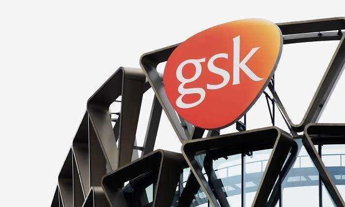 gsk-estructura.jpg