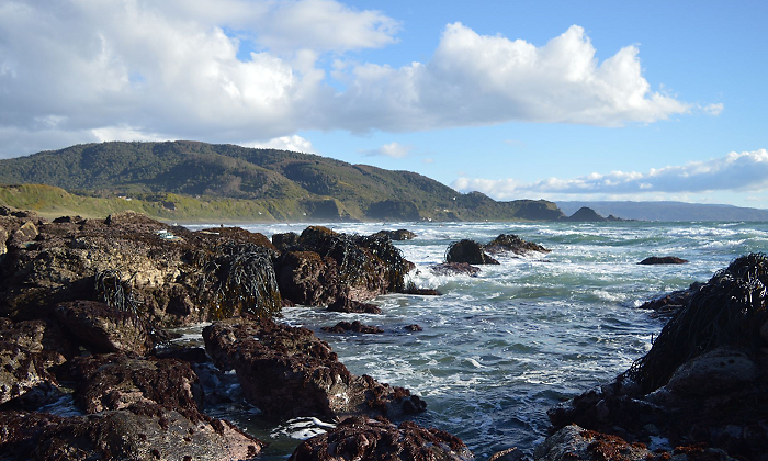 costa-sur-chile-foto-centro-ideal.png