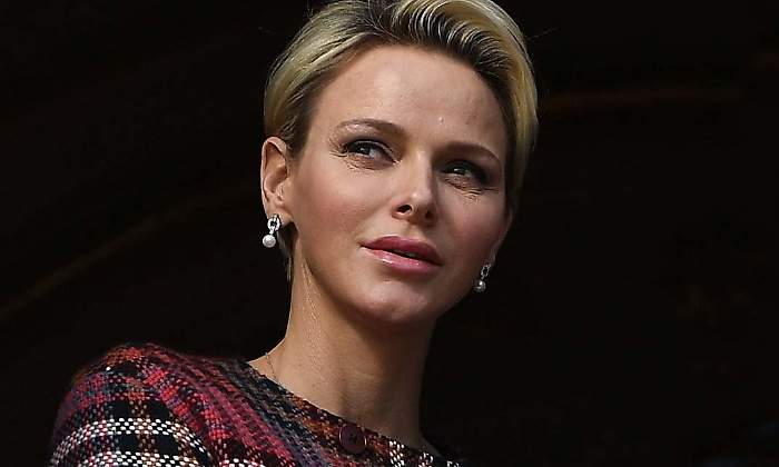 charlene-monaco-chihuahua-770.jpg