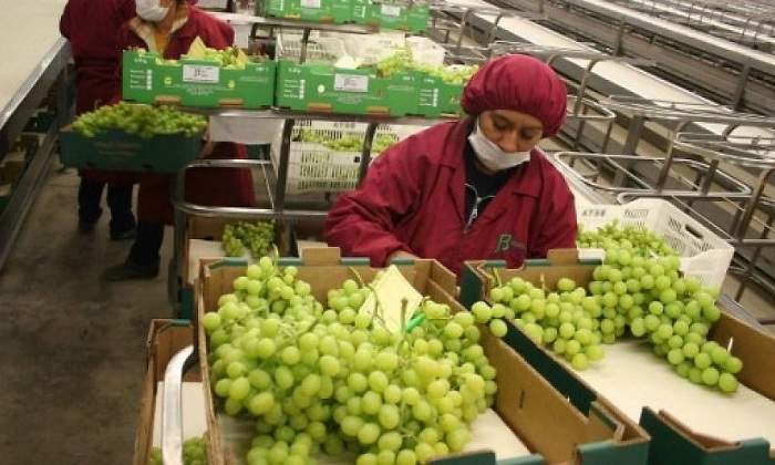 uvas