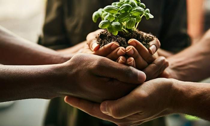 770-x-420-plantas-medi-ambiente-Istock.jpg