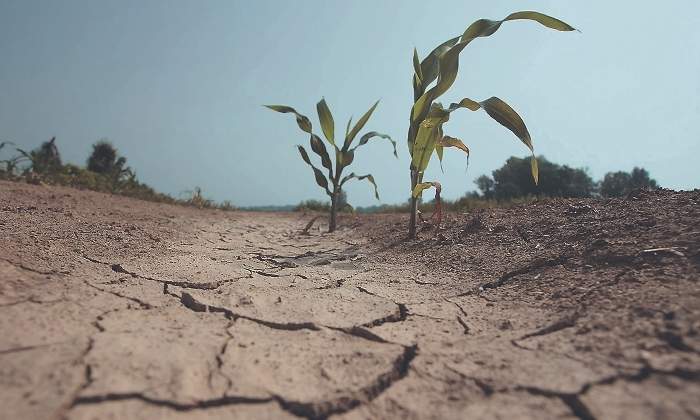 dia_del_agua_agricultura.jpg