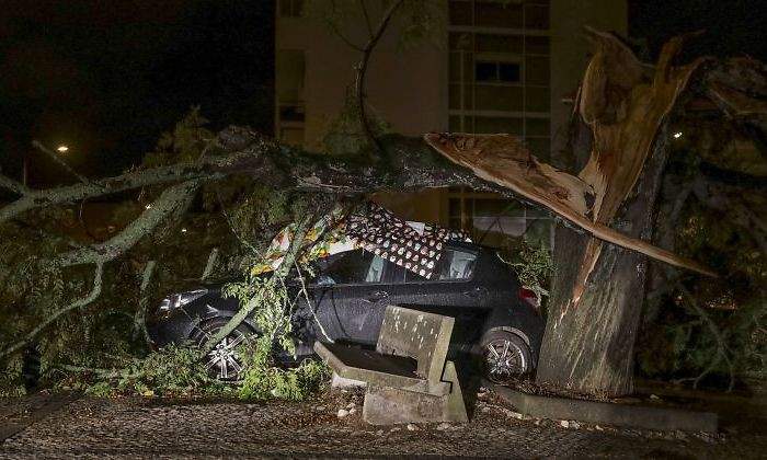 leslie-coche-arbol-portugal-reuters.jpg
