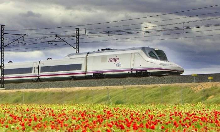 renfe-tren-campo-flores.jpg