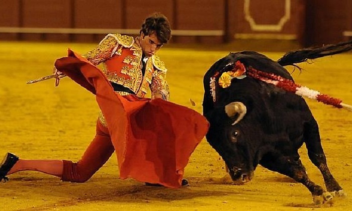 770x420-torero-novillero.jpg