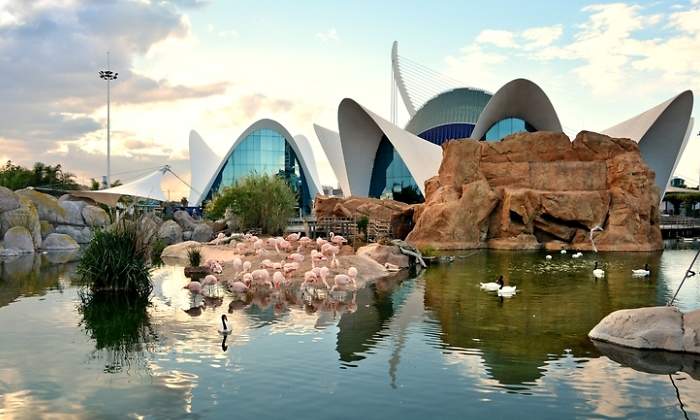 oceanographic-valencia-dreams.jpg