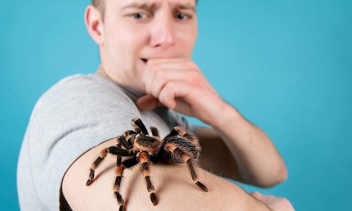Chico-joven-con-una-arana-en-el-brazo-iStock.jpg