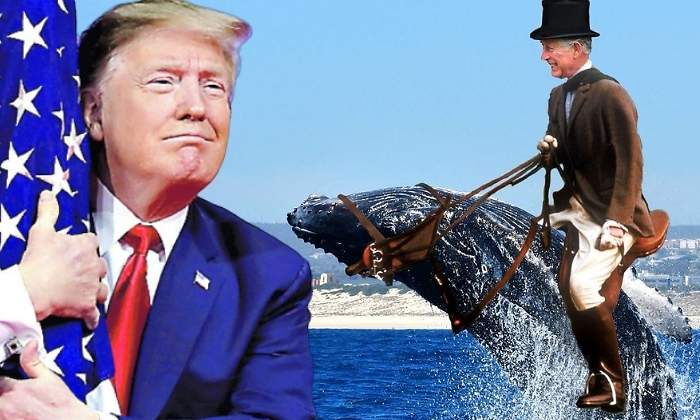 donald-trump-ballenas-770.jpg