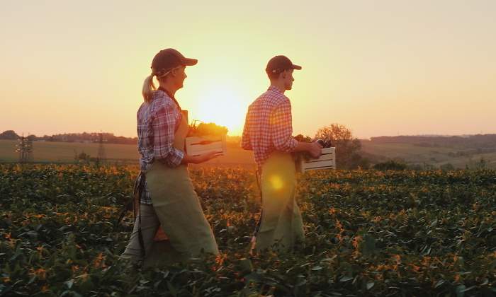 agricultura-ecologica.jpg