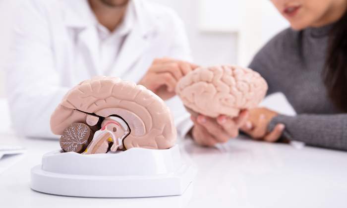 investigando-sobre-el-cerebro-humano.jpg