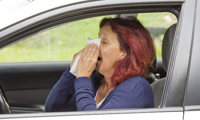 alergia-coche-dreamstime.jpg