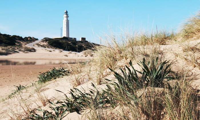 Faro-de-Trafalgar-apertura.jpg