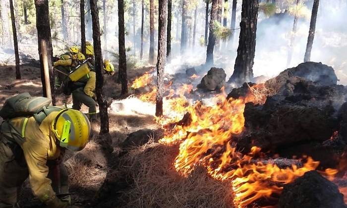 incendioforestal-efe.jpg