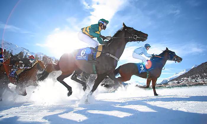 Caballos en la nieve