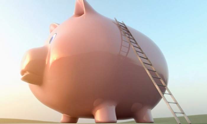 cerdito-escalera-pension.jpg