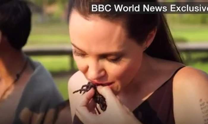 angelina-tarantula770.jpg