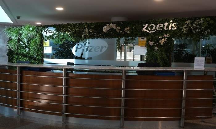 pfizer.jpg