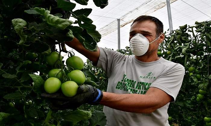 Agricultor.jpg