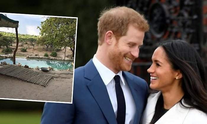 meghan-harry-miel-770.jpg