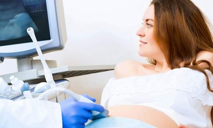 thumbnail_inseminacion-770.jpg