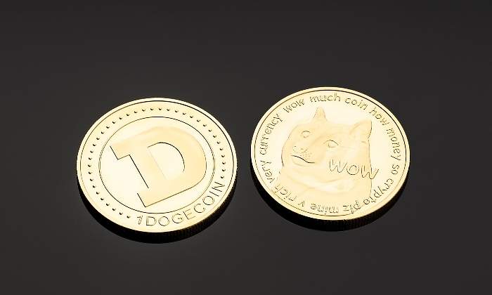 doge-770.jpg