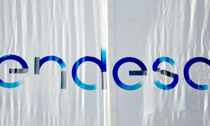endesa-2.jpg