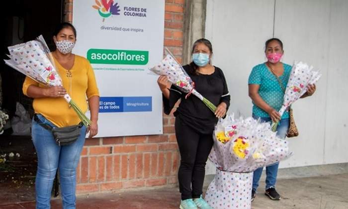 flores cauca