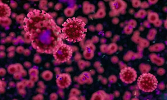 covid19-coronavirus.jpg