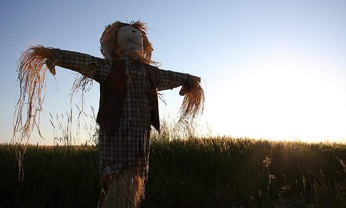 Un-espantapajaros--en-el-campo-durante-un-atardecer-iStock.jpg