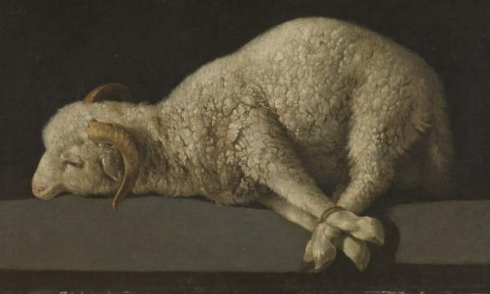 agnus-dei-museo-prado.jpg