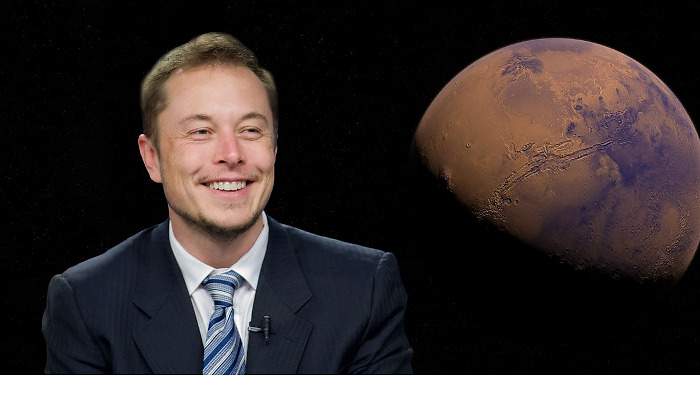 elon-g3b25fe139_1280.jpg