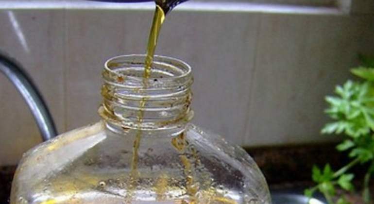 Mejor aceite comestible segun profeco