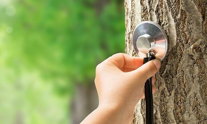Una-mano-sujetando-un-estetoscopio-iStock.jpg