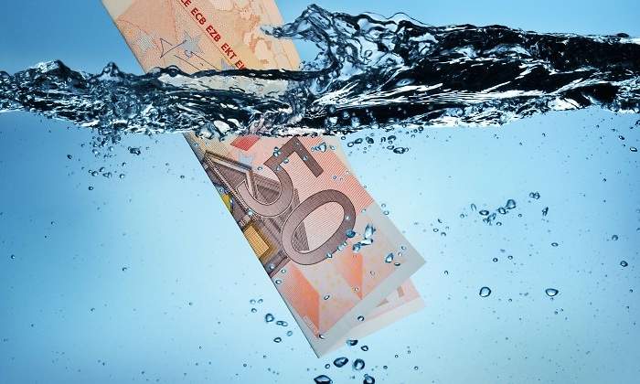 billete-50-hunde.jpg