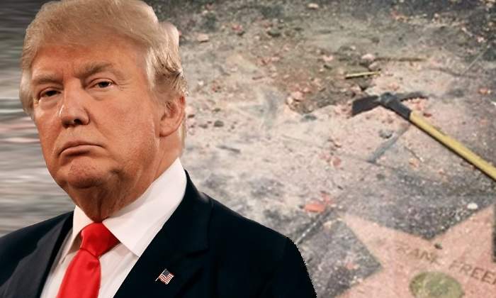 donald-estrella-770.jpg